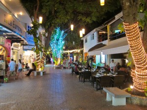 playa-tree-lights